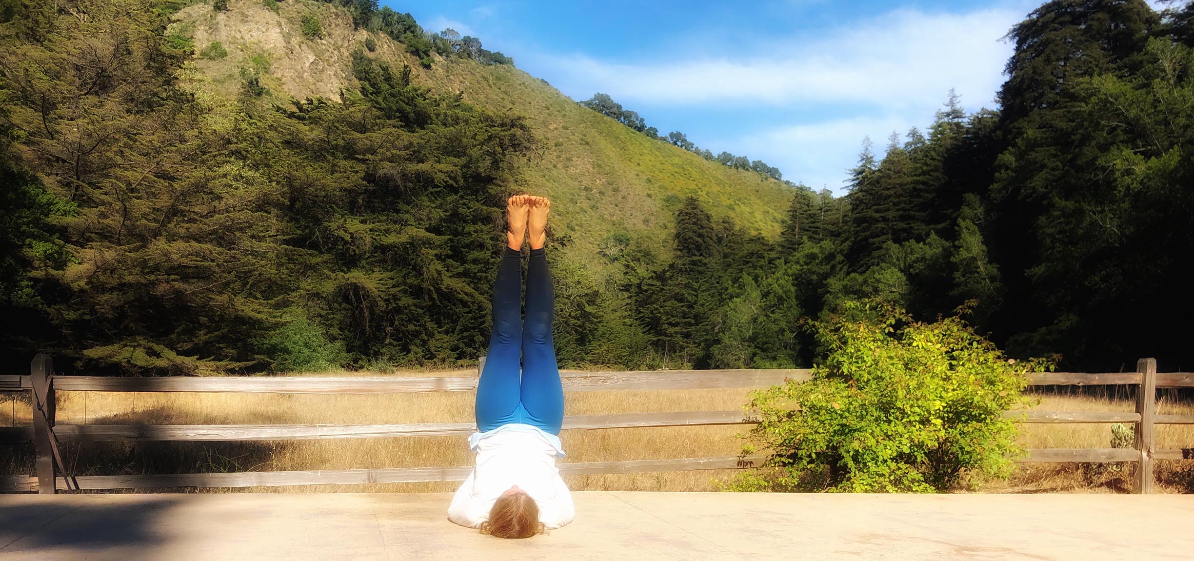 Private yoga teacher with 30 years of experience.